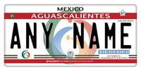 Custom Aguascalientes Plate/Case