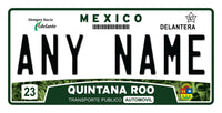 Custom Quinta Roo Plate/Case