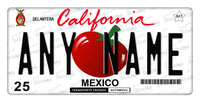 Custom Sinaloa California Plate/Case