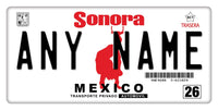 Custom Sonora Plate/Case