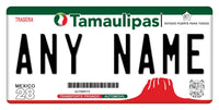 Custom Tamaulipas Plate/Case