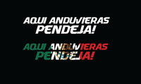 Aqui Anduvieras Pendeja Sticker