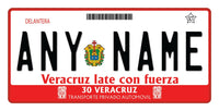 Custom Veracruz 2 Plate/Case